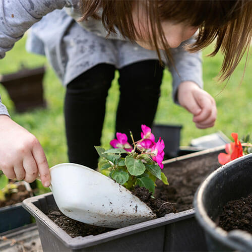 gardening - Super stars Early Learning Center & OSHC